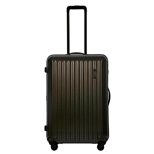 Bric's Riccione Trolley para portátil, 69 cm, Gris (Ash Grey)